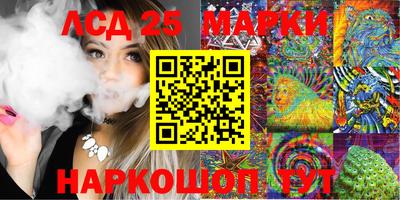 крисы Шебекино