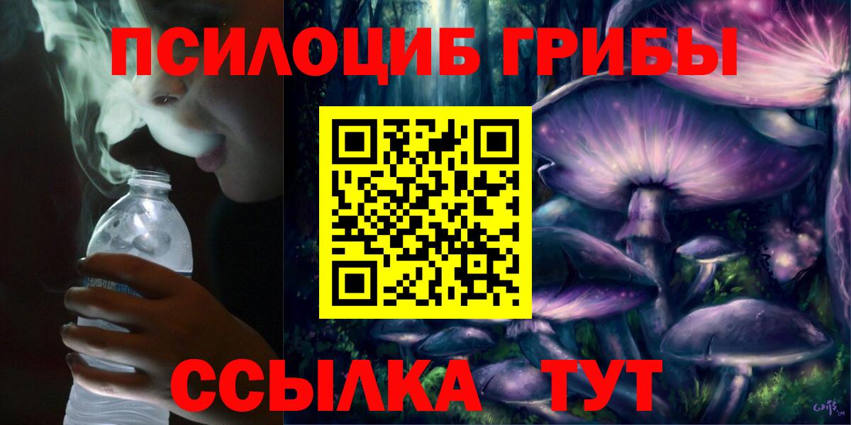 Мыски  Галлюциногенные грибы Cubensis  Вход с VPN 